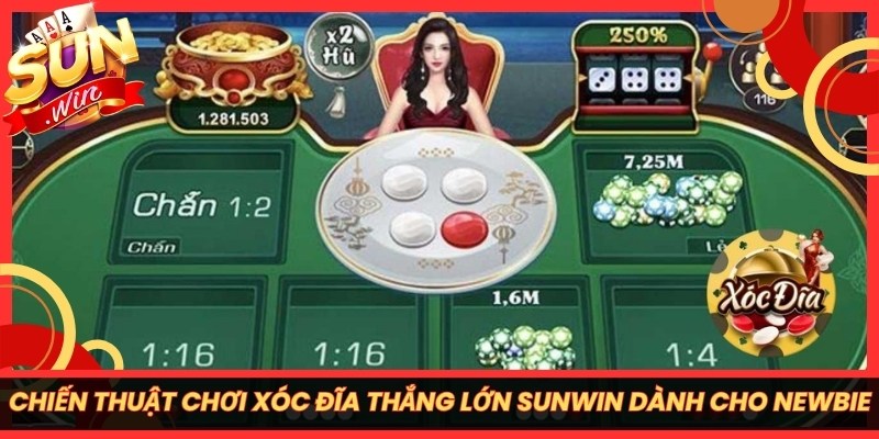 Chiến Thuật Chơi Xóc Đĩa Thắng Lớn Sunwin Dành Cho Newbie